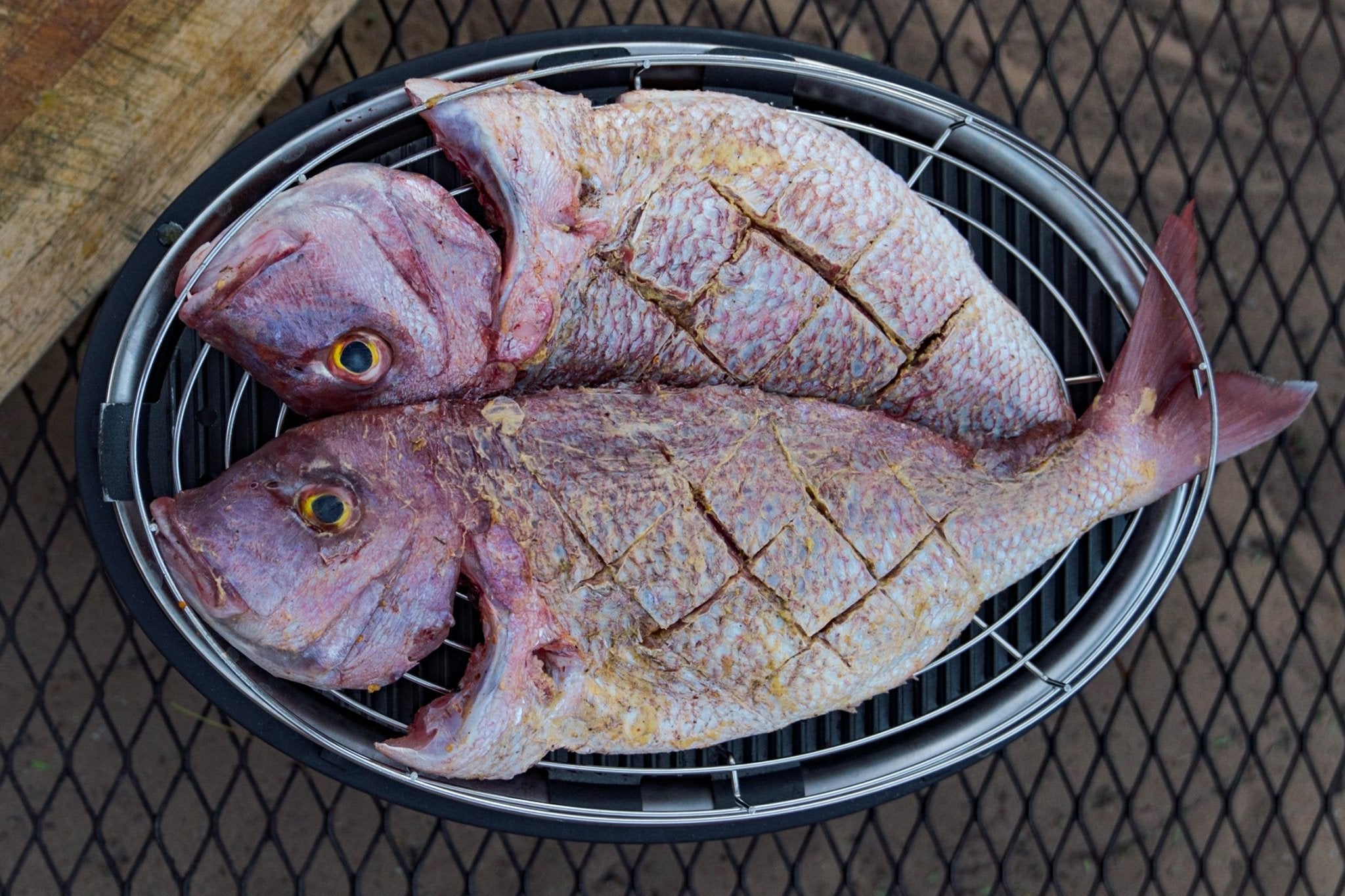 COBBグリル 魚のグリル